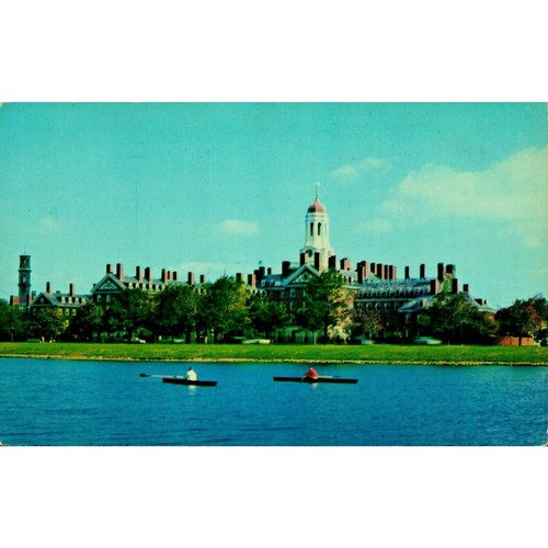 Postcard harvard university - postcard,